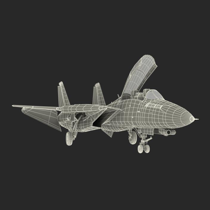 3D model F-14 Tomcat US Combat Aircraft