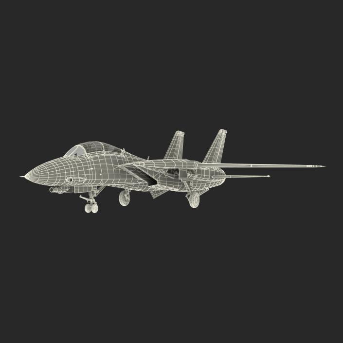 3D model F-14 Tomcat US Combat Aircraft