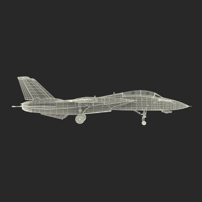 3D model F-14 Tomcat US Combat Aircraft