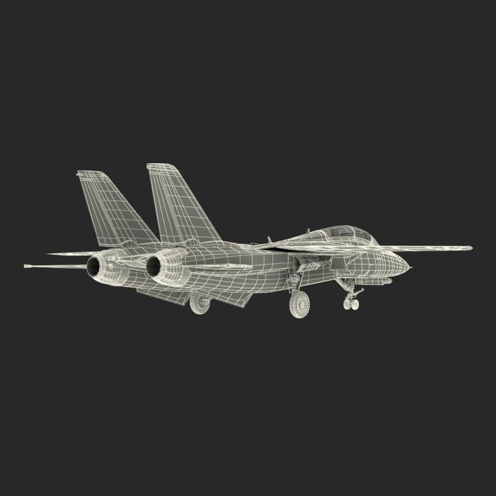 3D model F-14 Tomcat US Combat Aircraft