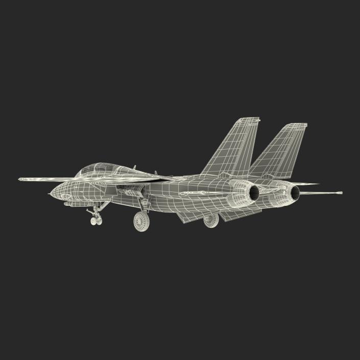 3D model F-14 Tomcat US Combat Aircraft