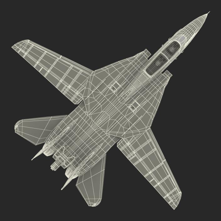 3D model F-14 Tomcat US Combat Aircraft