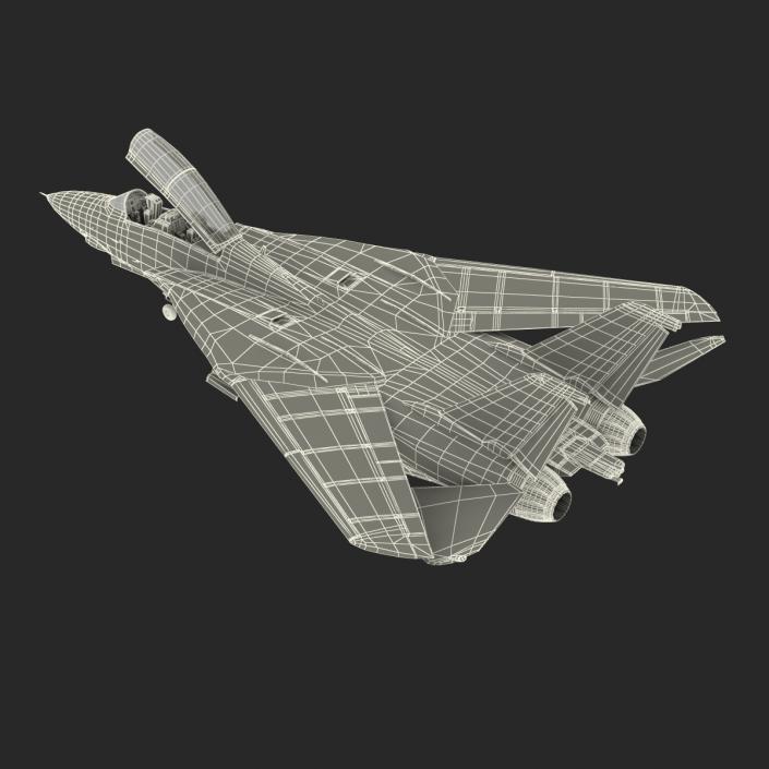 3D model F-14 Tomcat US Combat Aircraft