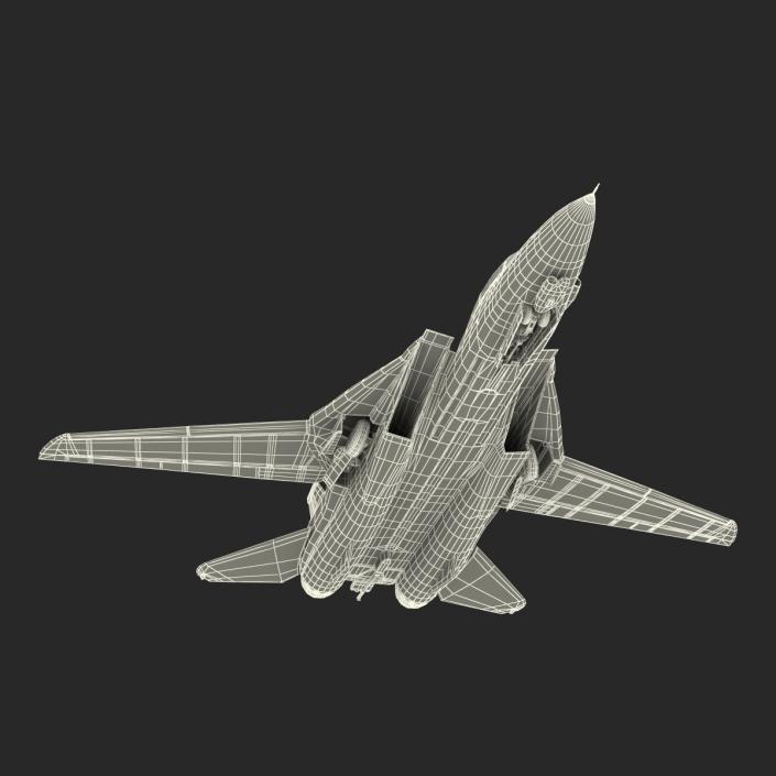 3D model F-14 Tomcat US Combat Aircraft