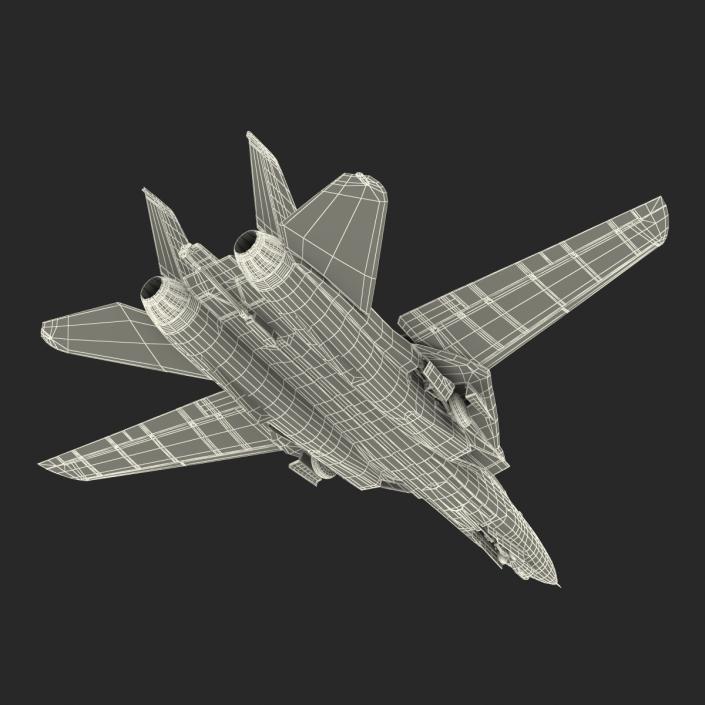 3D model F-14 Tomcat US Combat Aircraft