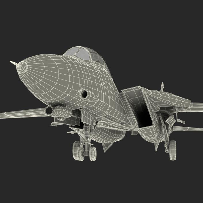 3D model F-14 Tomcat US Combat Aircraft