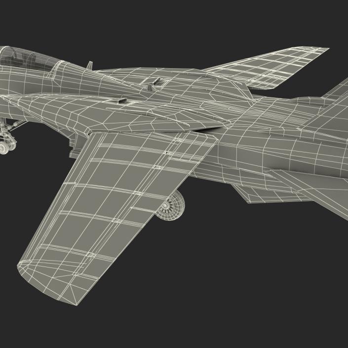 3D model F-14 Tomcat US Combat Aircraft