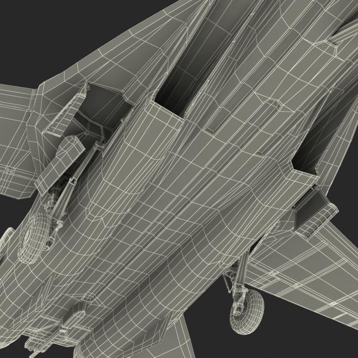 3D model F-14 Tomcat US Combat Aircraft