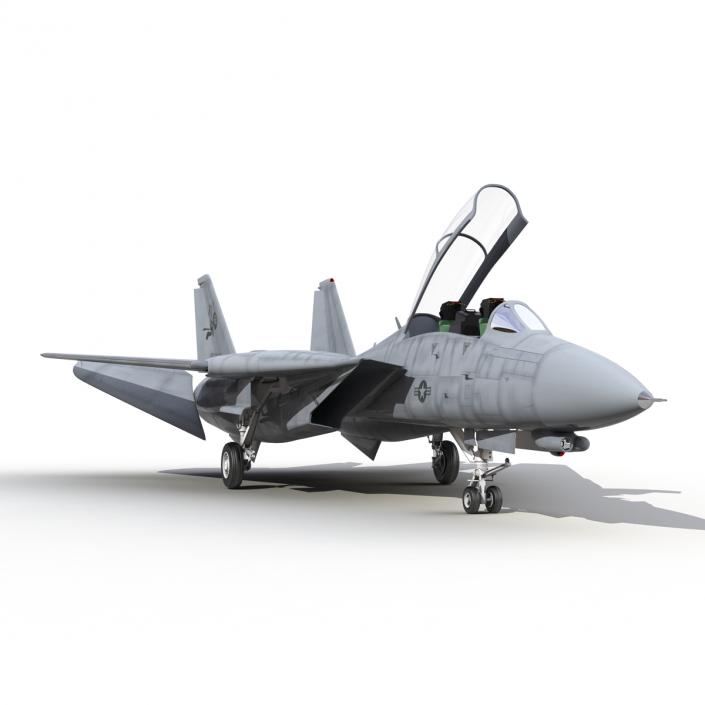 F-14 Tomcat US Combat Aircraft Rigged 3D