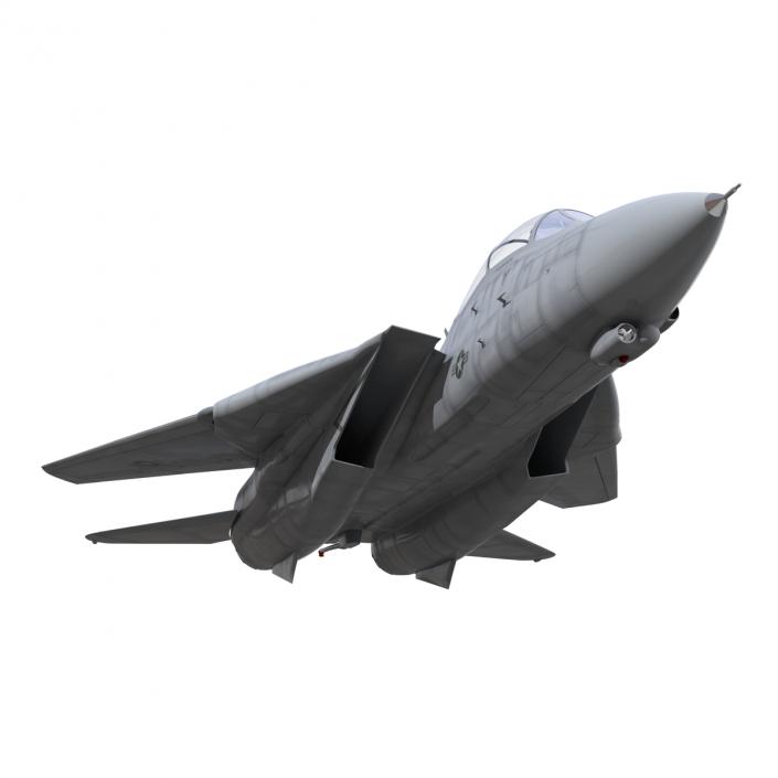 F-14 Tomcat US Combat Aircraft Rigged 3D