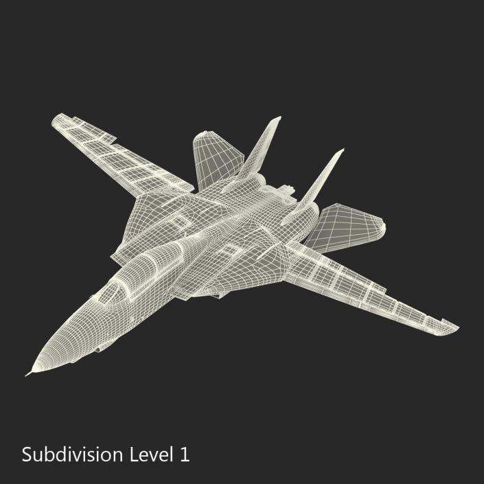 F-14 Tomcat US Combat Aircraft Rigged 3D