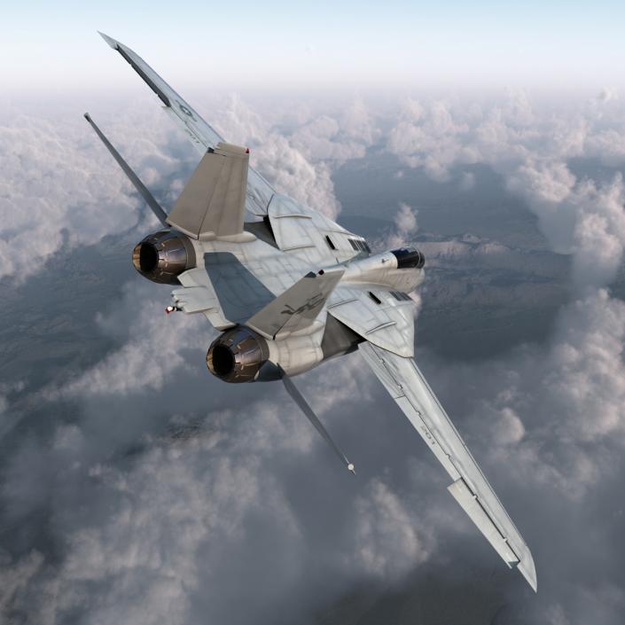 F-14 Tomcat US Combat Aircraft Rigged 3D