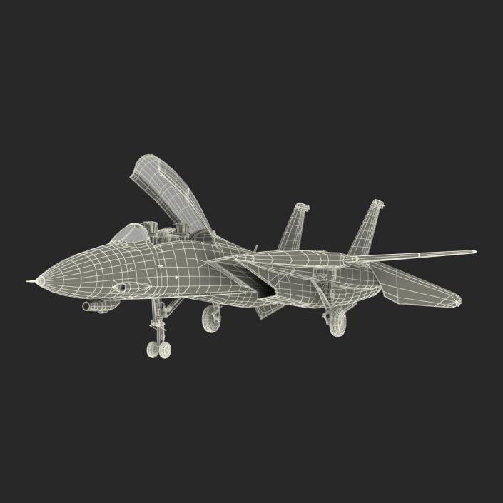 F-14 Tomcat US Combat Aircraft Rigged 3D