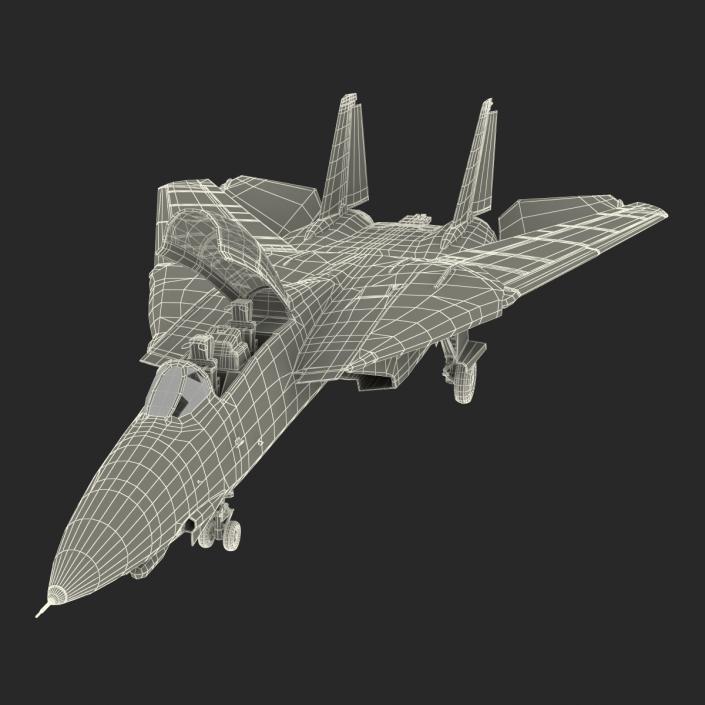 F-14 Tomcat US Combat Aircraft Rigged 3D