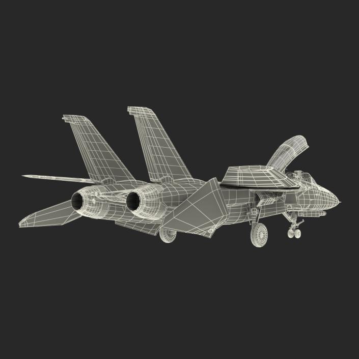 F-14 Tomcat US Combat Aircraft Rigged 3D