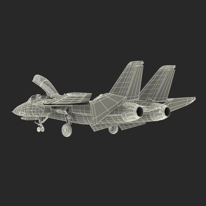 F-14 Tomcat US Combat Aircraft Rigged 3D