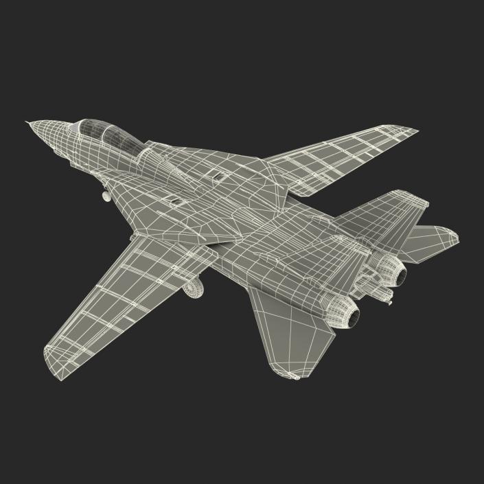 F-14 Tomcat US Combat Aircraft Rigged 3D