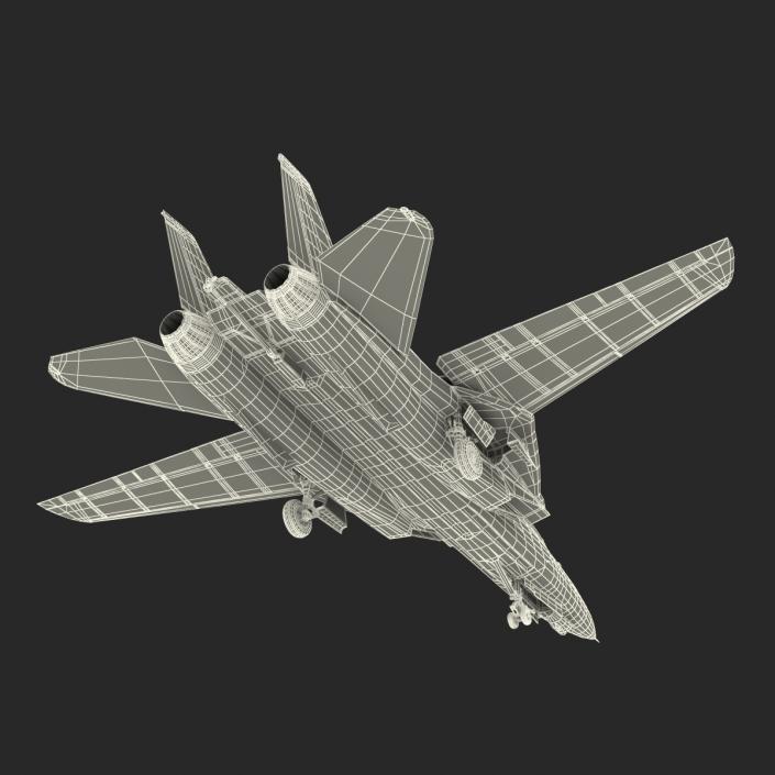 F-14 Tomcat US Combat Aircraft Rigged 3D