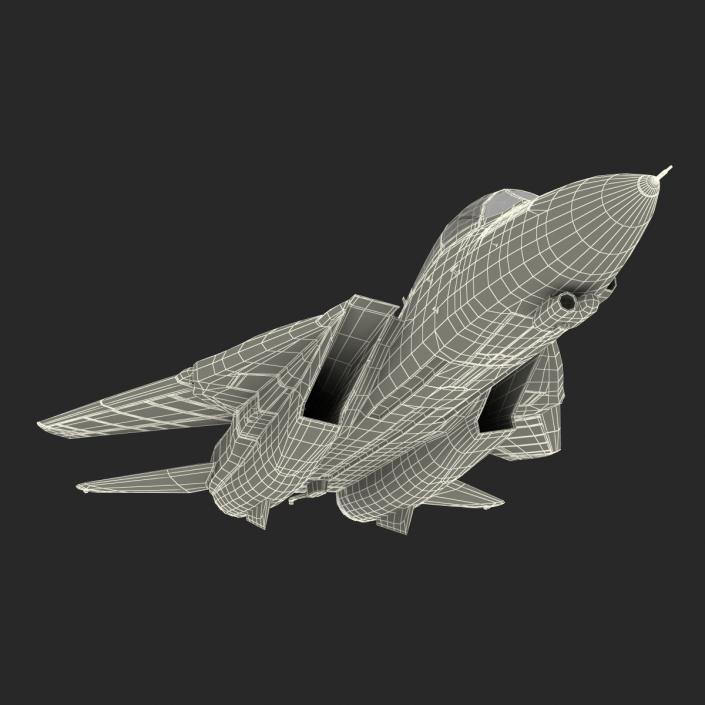 F-14 Tomcat US Combat Aircraft Rigged 3D