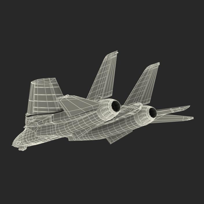 F-14 Tomcat US Combat Aircraft Rigged 3D