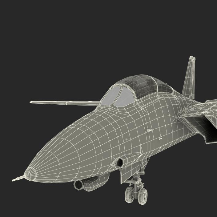 F-14 Tomcat US Combat Aircraft Rigged 3D