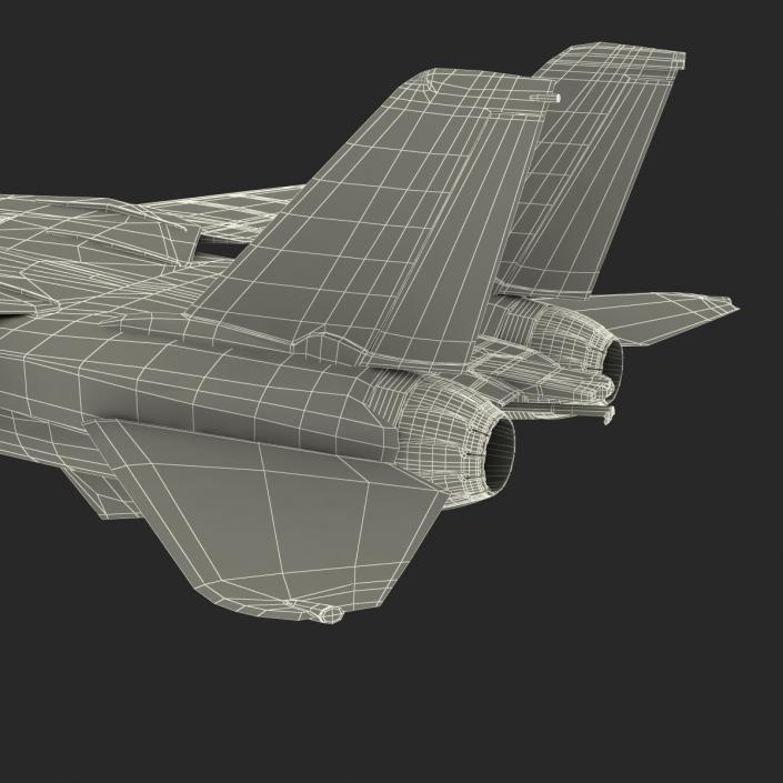 F-14 Tomcat US Combat Aircraft Rigged 3D