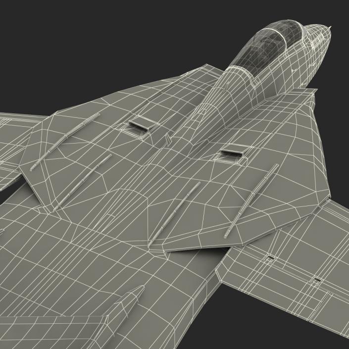 F-14 Tomcat US Combat Aircraft Rigged 3D