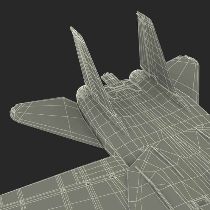 F-14 Tomcat US Combat Aircraft Rigged 3D