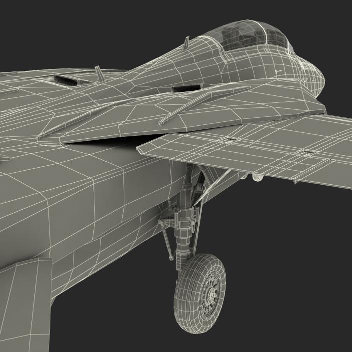 F-14 Tomcat US Combat Aircraft Rigged 3D