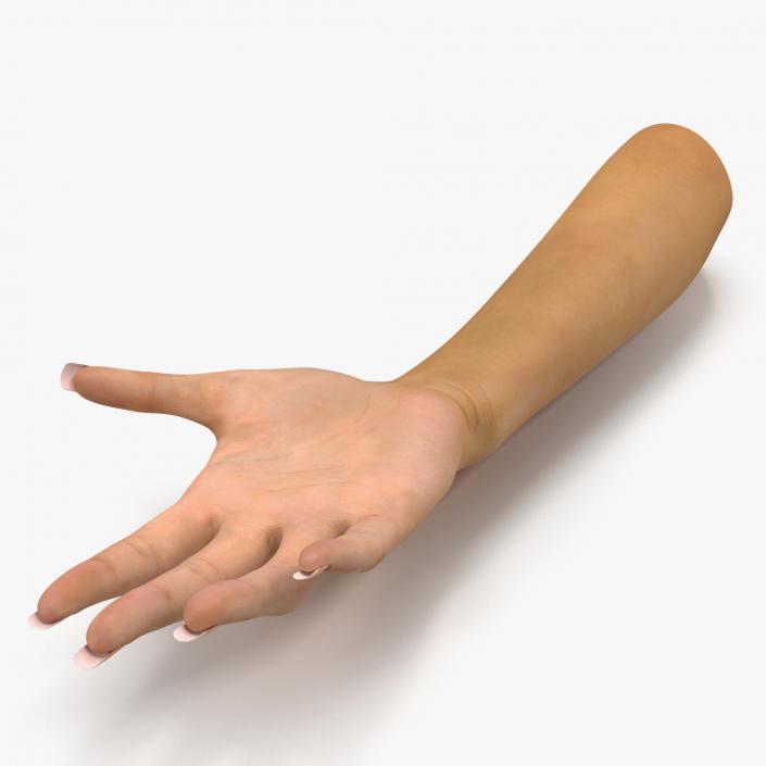 3D Rigged Hands Collection model