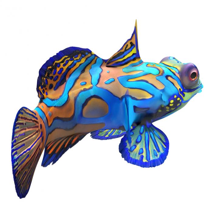 Mandarinfish Rigged 3D model