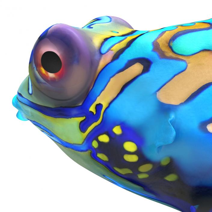 Mandarinfish 3D