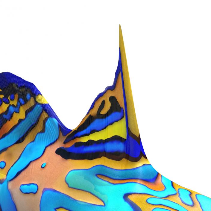 Mandarinfish 3D