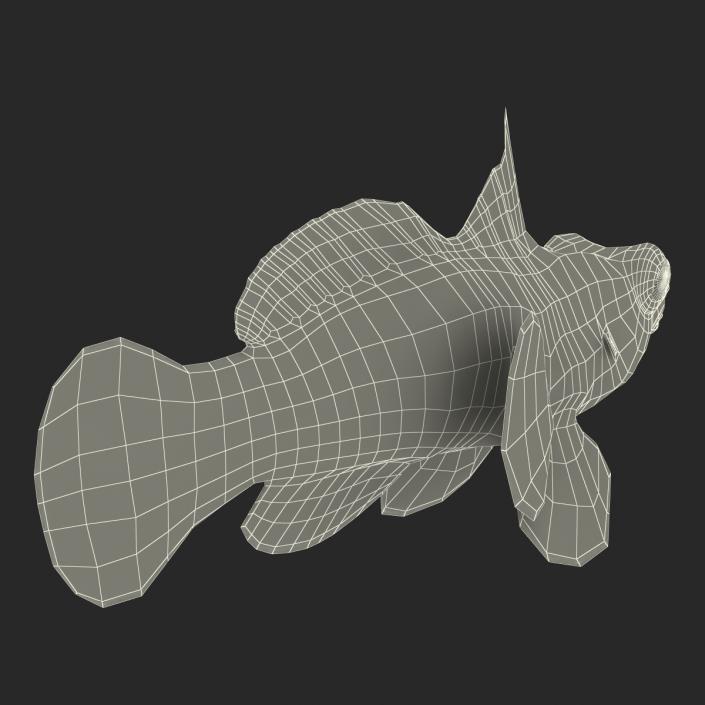 Mandarinfish Rigged 3D model