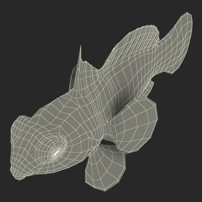 Mandarinfish Rigged 3D model