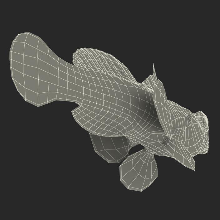 Mandarinfish 3D