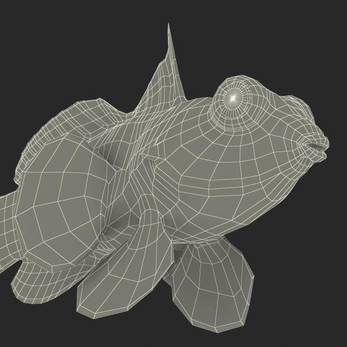 Mandarinfish Rigged 3D model