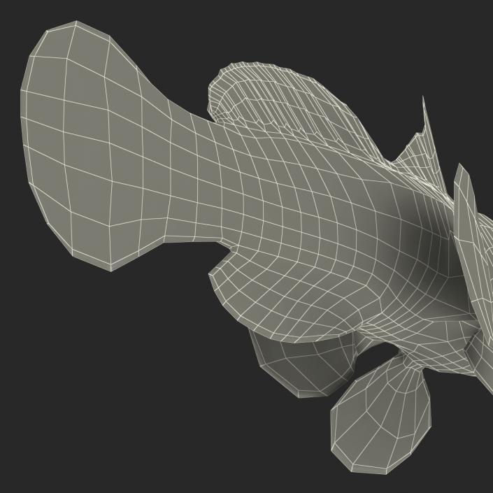 Mandarinfish Rigged 3D model