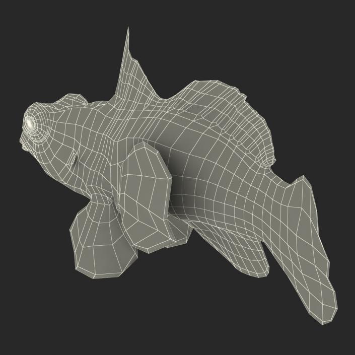 Mandarinfish Pose 2 3D model