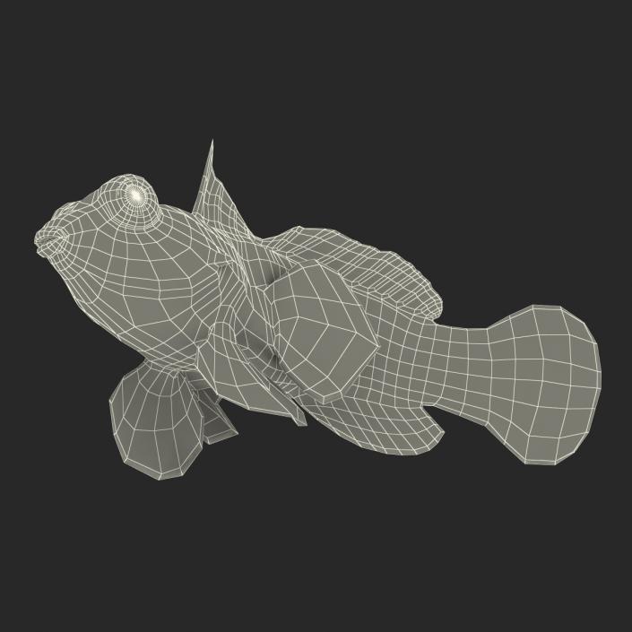 Mandarinfish Pose 2 3D model