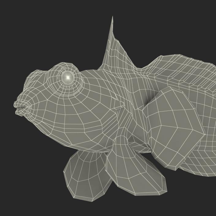 Mandarinfish Pose 2 3D model