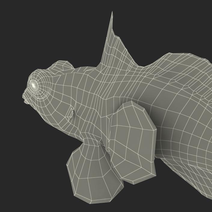 Mandarinfish Pose 2 3D model