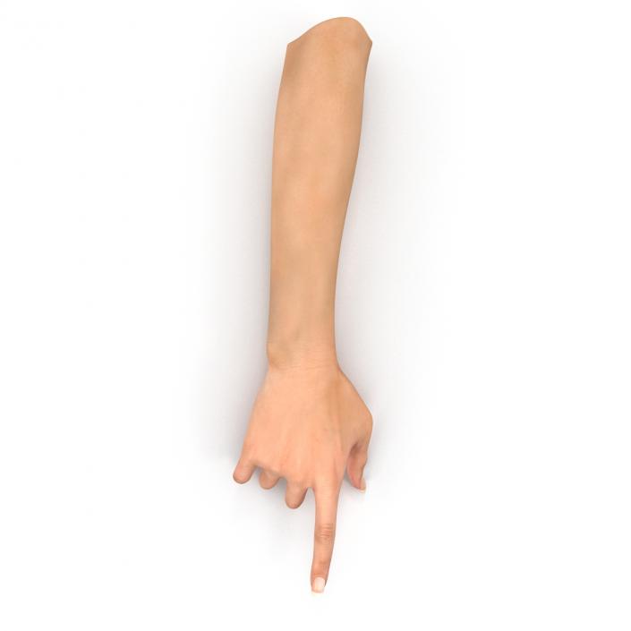 3D model Female Hand 2 Rigged