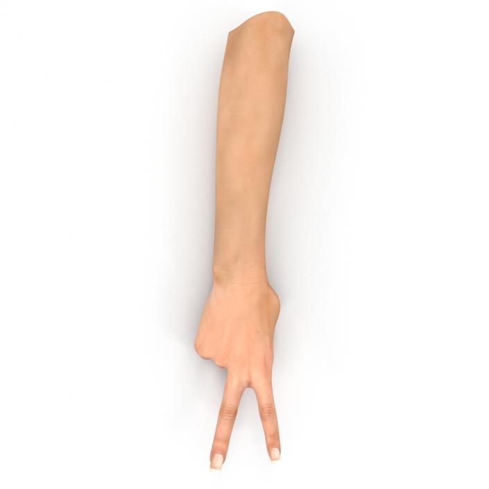 3D model Female Hand 2 Rigged