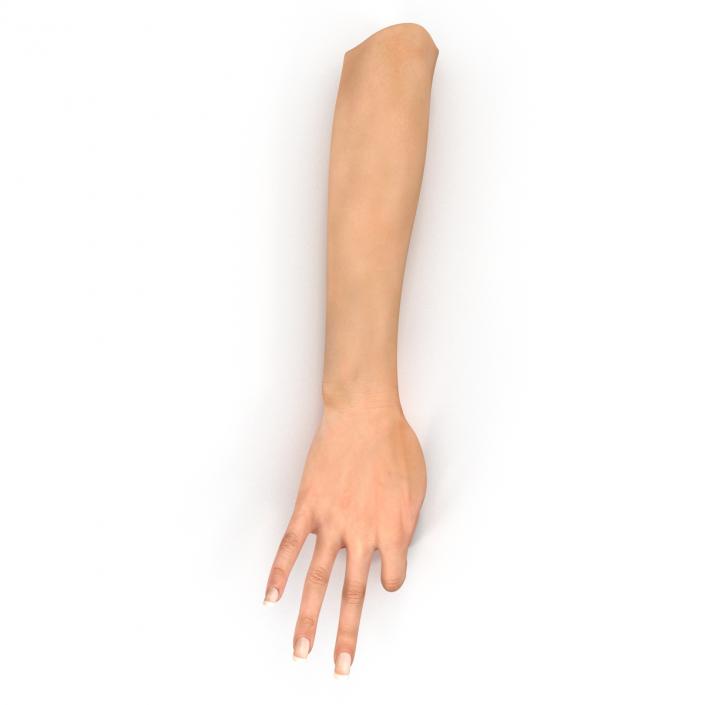 3D model Female Hand 2 Rigged