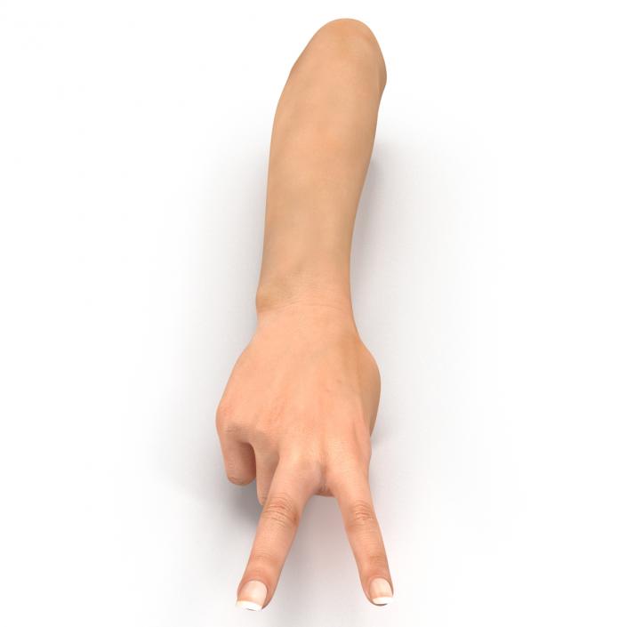 3D model Female Hand 2 Rigged