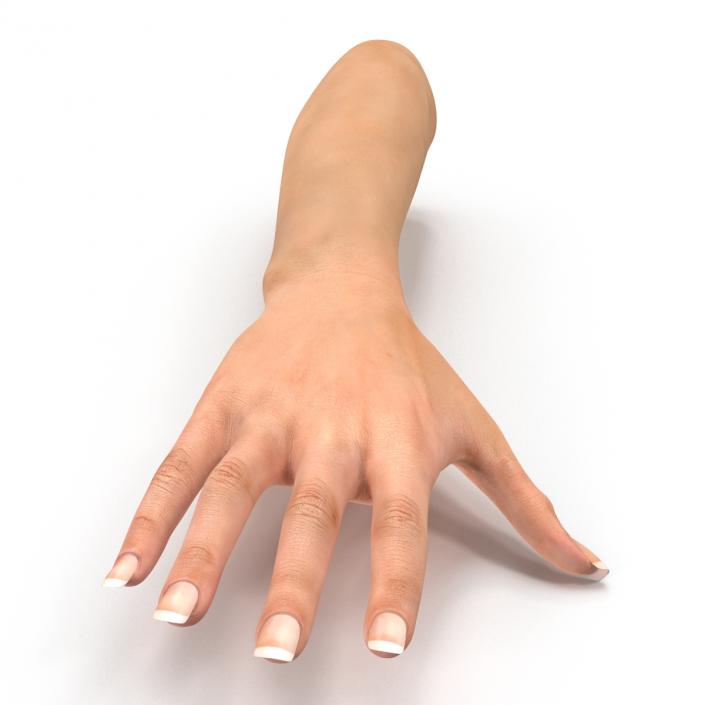 3D model Female Hand 2 Rigged