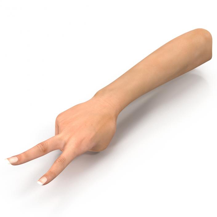 3D model Female Hand 2 Rigged