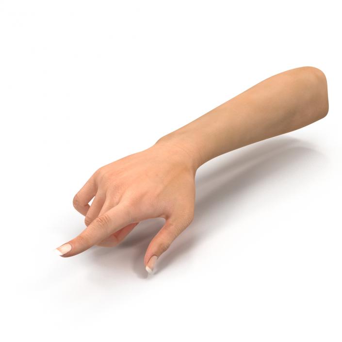 3D model Female Hand 2 Rigged