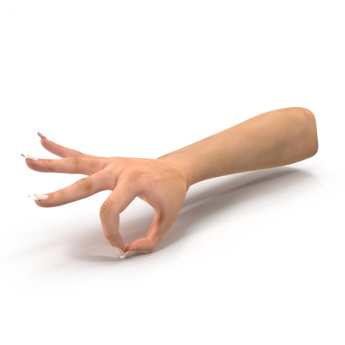 3D model Female Hand 2 Rigged